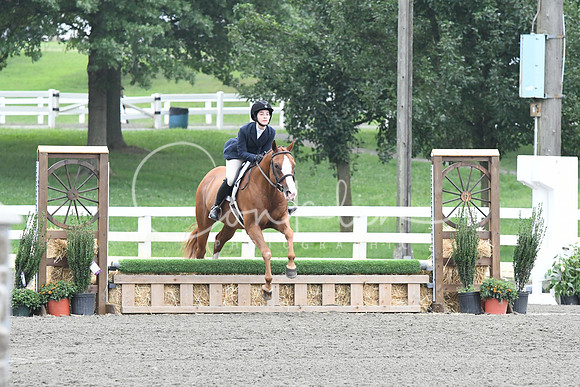 HSM_2225