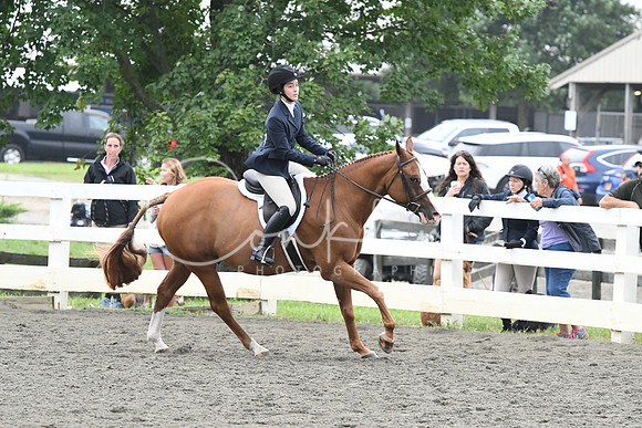 HSM_2222