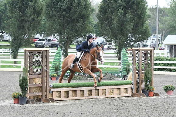 HSM_2227