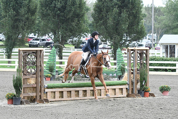 HSM_2228