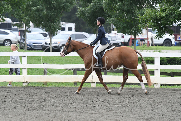 HSM_2229