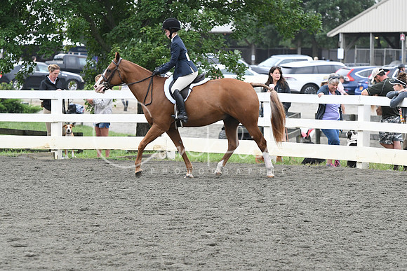 HSM_2266