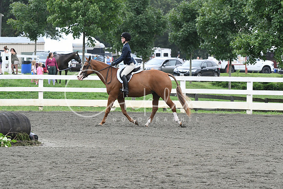 HSM_2269