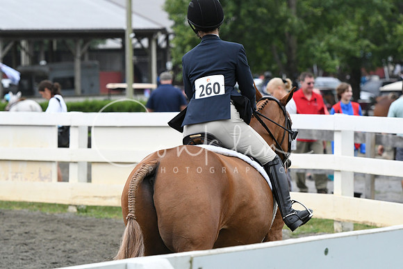 HSM_2271