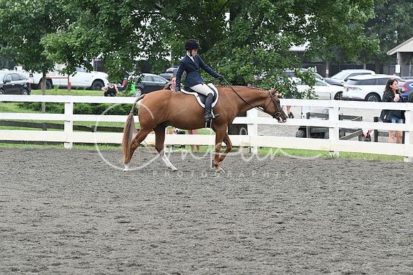 HSM_2286
