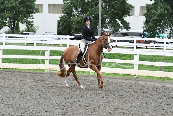 HSM_5355