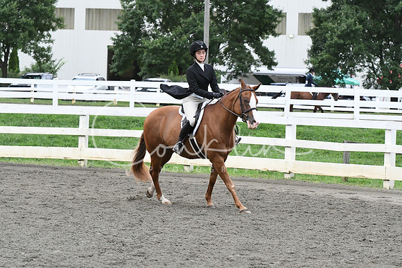 HSM_5356