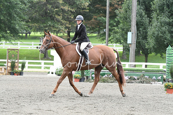 HSM_2861