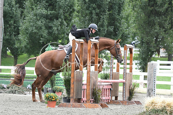 HSM_2873