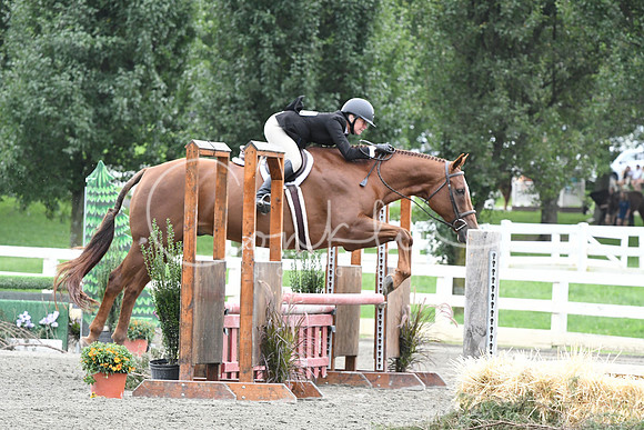 HSM_2874