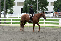 HSM_2877