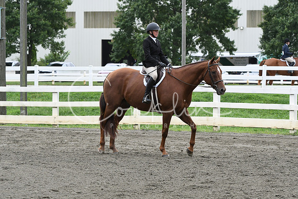 HSM_2877