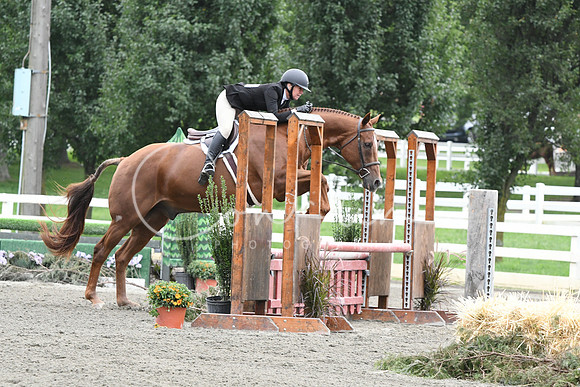 HSM_2928
