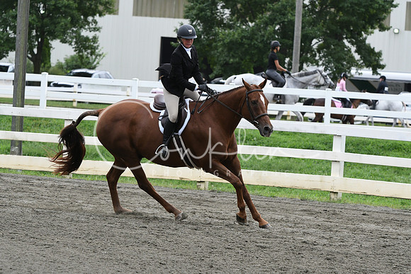 HSM_2931