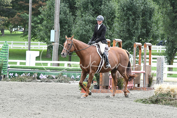 HSM_2938