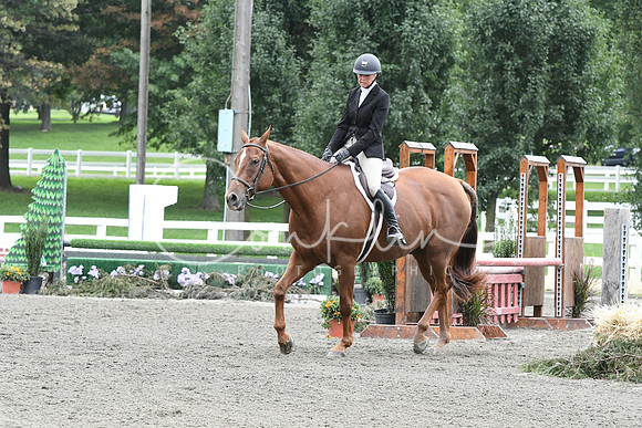 HSM_2939