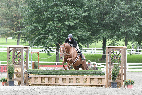 HSM_2993