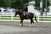 HSM_3153
