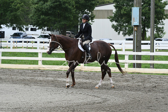 HSM_3153