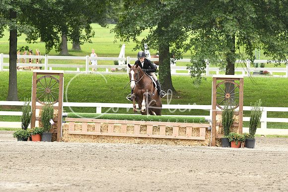 HSM_3211