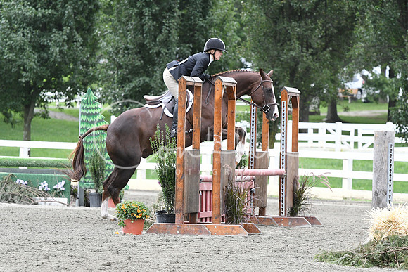 HSM_3217