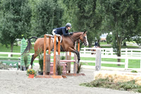 HSM_3248