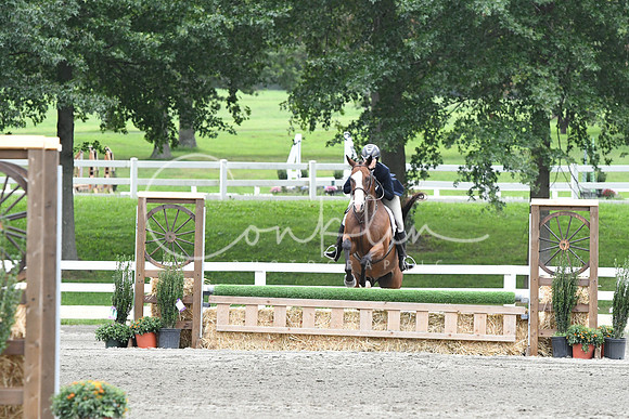 HSM_3301