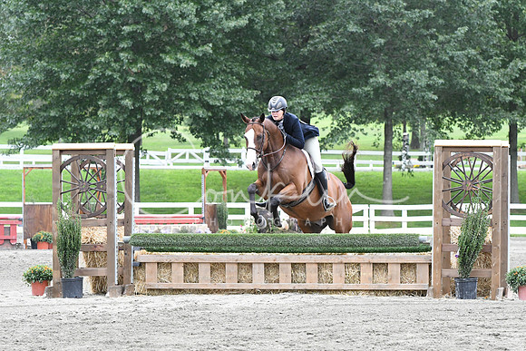 HSM_3303