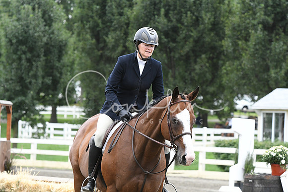 HSM_3310