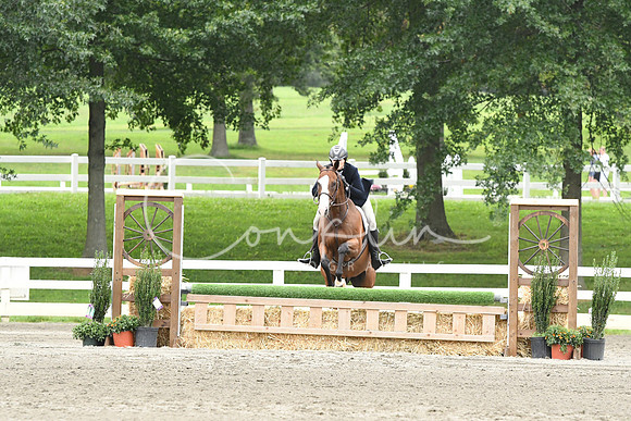 HSM_3342