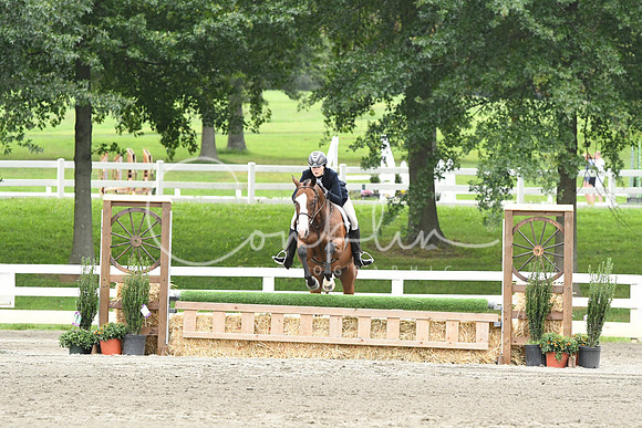 HSM_3343