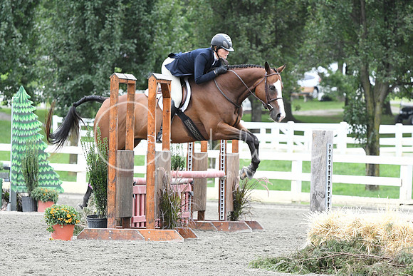 HSM_3351