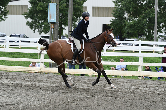 HSM_3352
