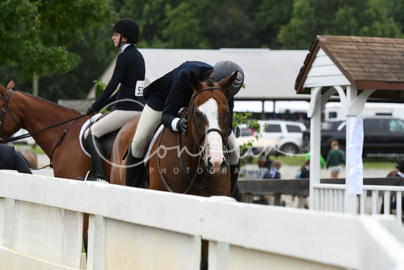 HSM_3366