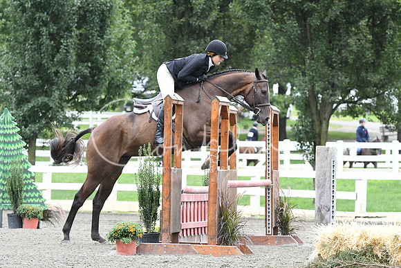 HSM_4301