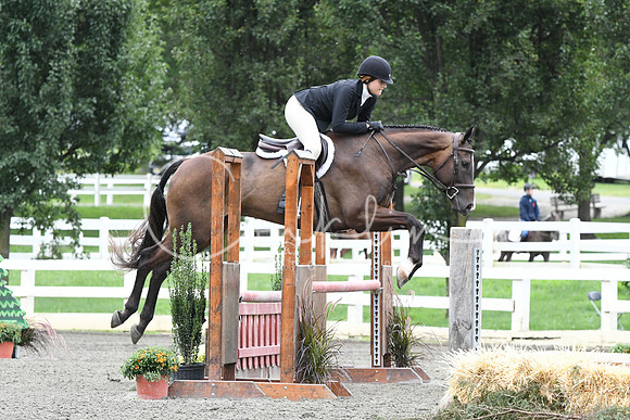 HSM_4302