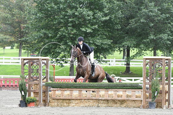 HSM_4311