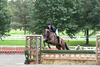 HSM_4313