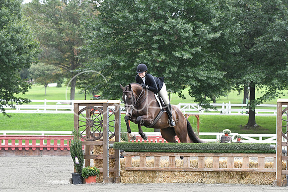 HSM_4313