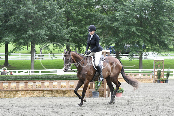HSM_4317