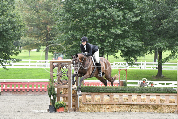 HSM_4331