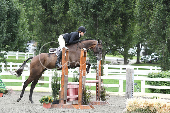 HSM_4336