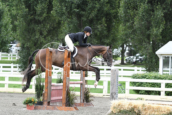 HSM_4337