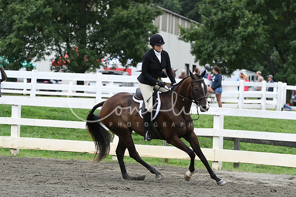 HSM_4338