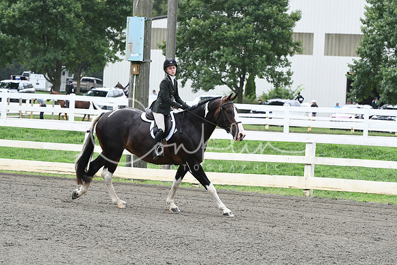 HSM_2542