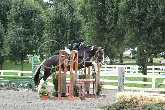HSM_2550