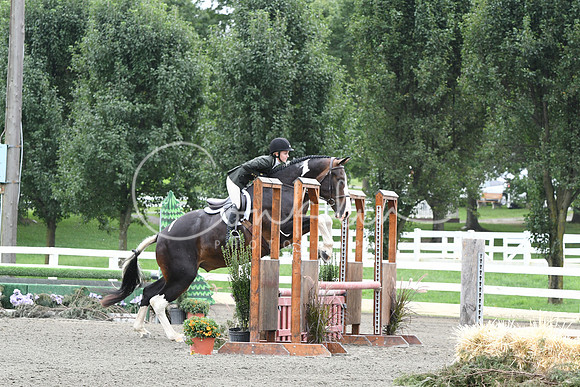 HSM_2549