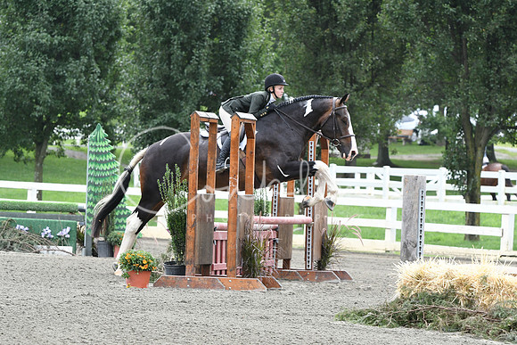 HSM_2621