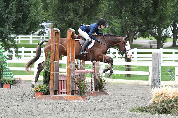 HSM_4813