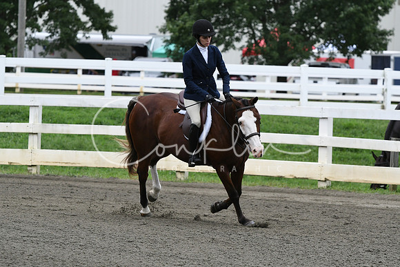 HSM_4816